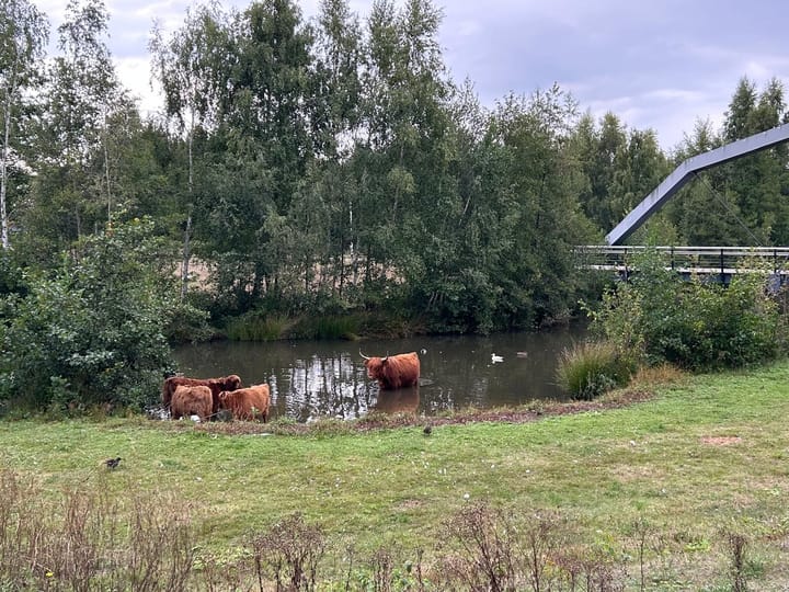 Foto 35 van Oosterbeekstraat 13