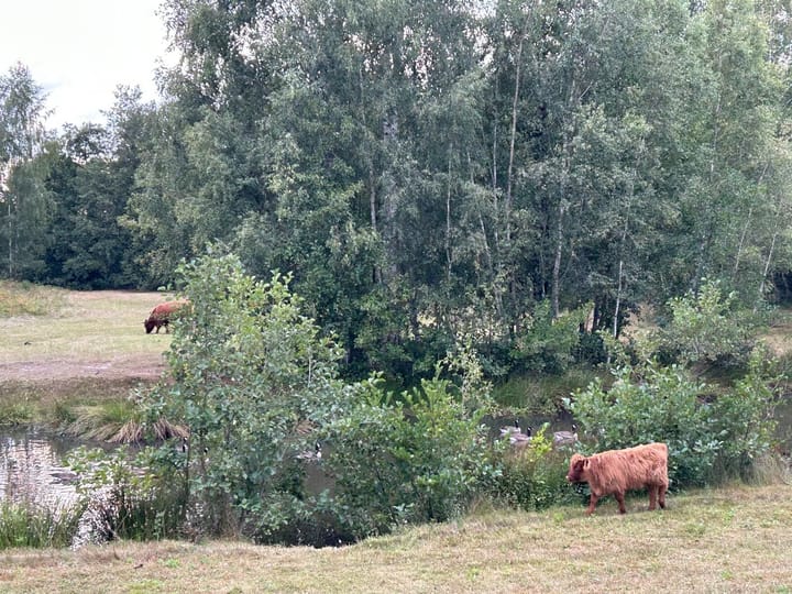 Foto 36 van Oosterbeekstraat 13