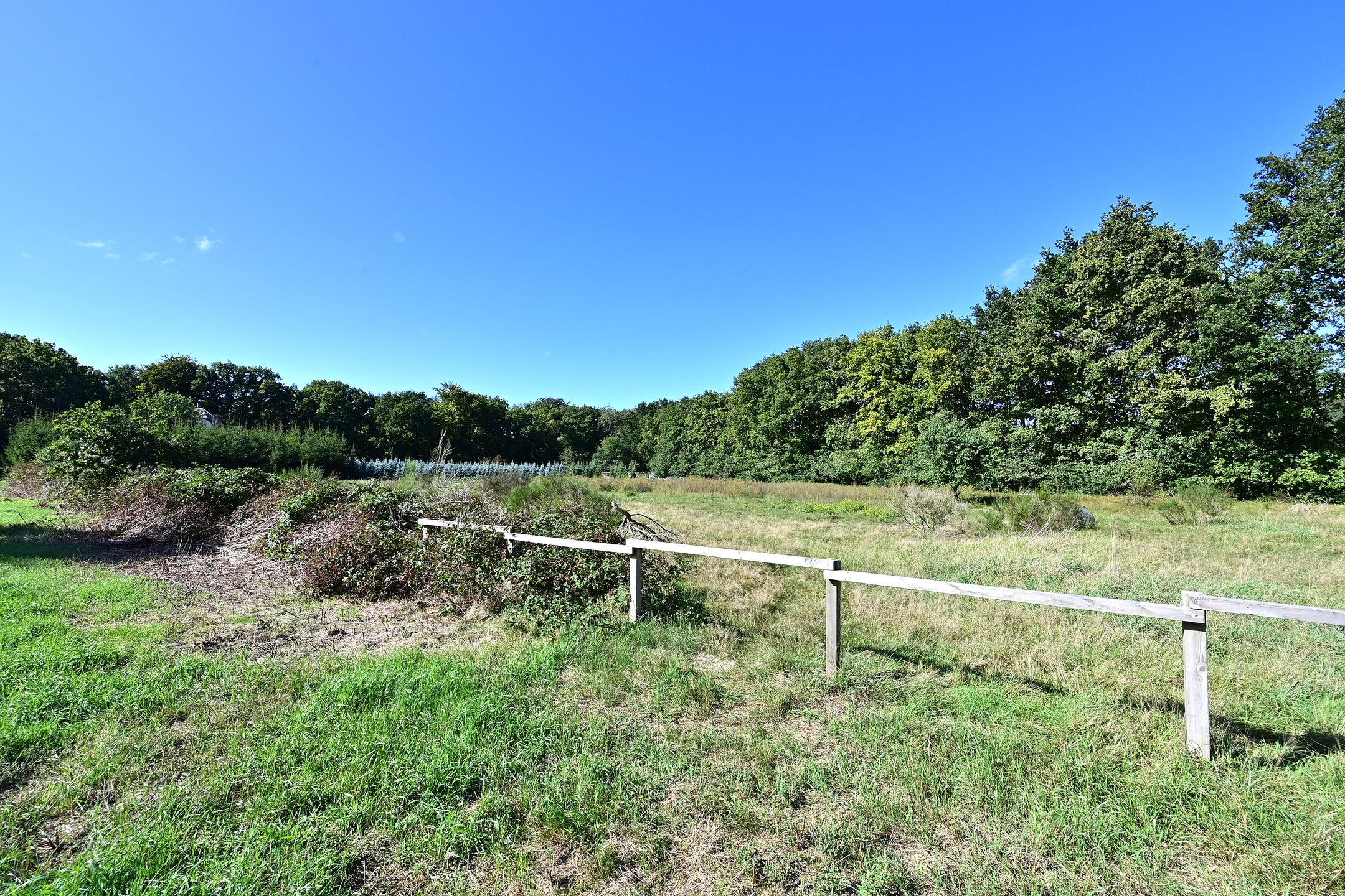 Foto 21 van Wildweg 29