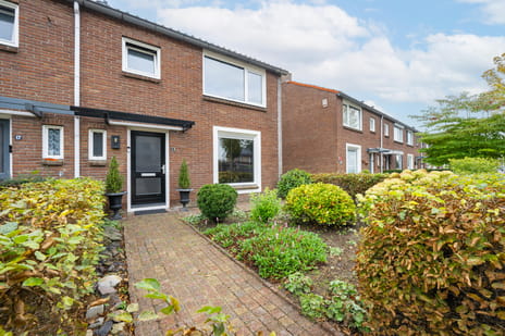 undefined main image