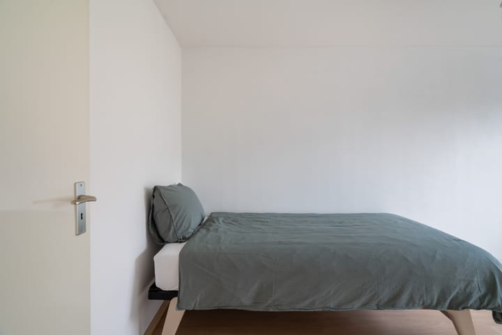 Foto 49 van Spectrumsingel 159