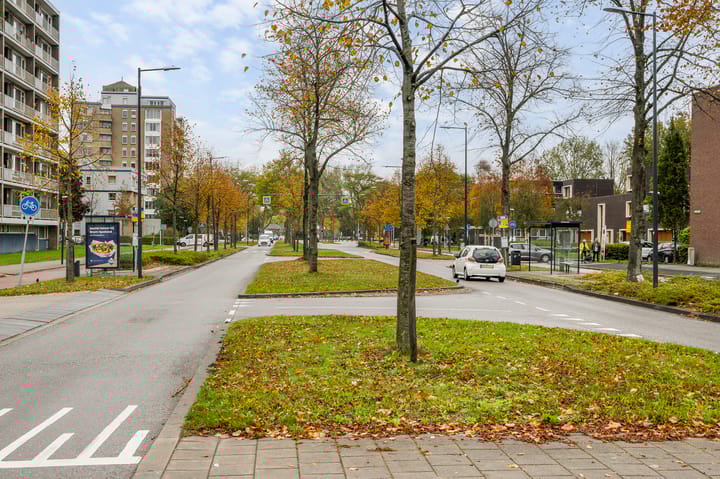 Foto 35 van Willem Landréplein 59