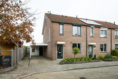 undefined main image