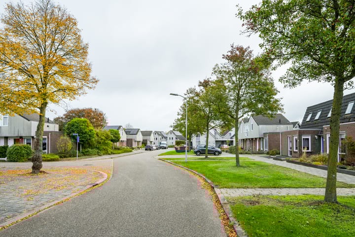 Foto 38 van de Vloglanden 18