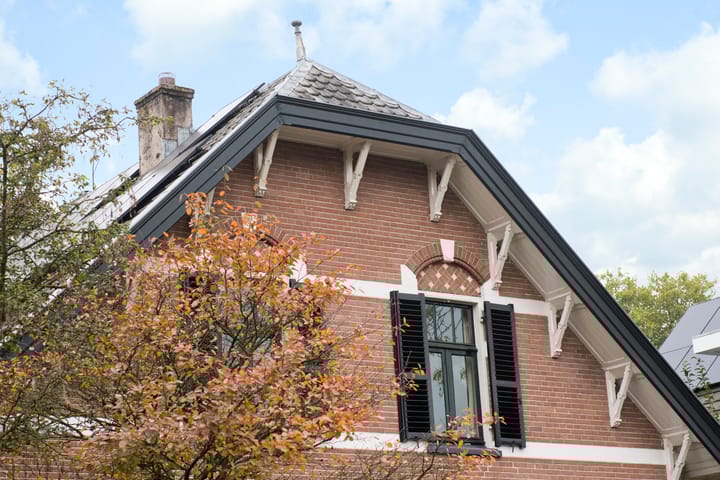 Photo 78 of Wilhelminastraat 13