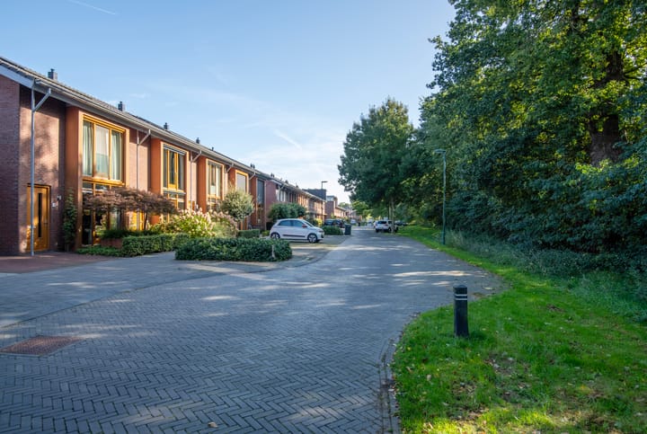 Foto 33 van Duizendblad 15