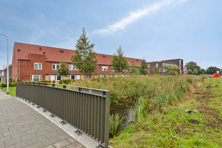 Foto 39 van Zeefdruk 5