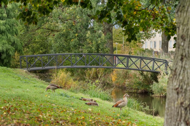 Foto 40 van Rommepad 3