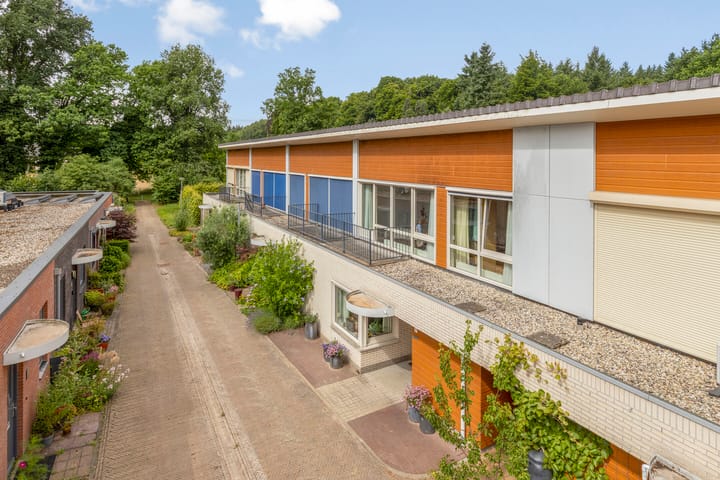 Foto 52 van Schaterland 7