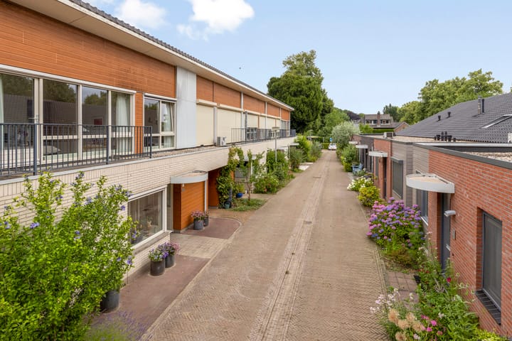 Foto 54 van Schaterland 7