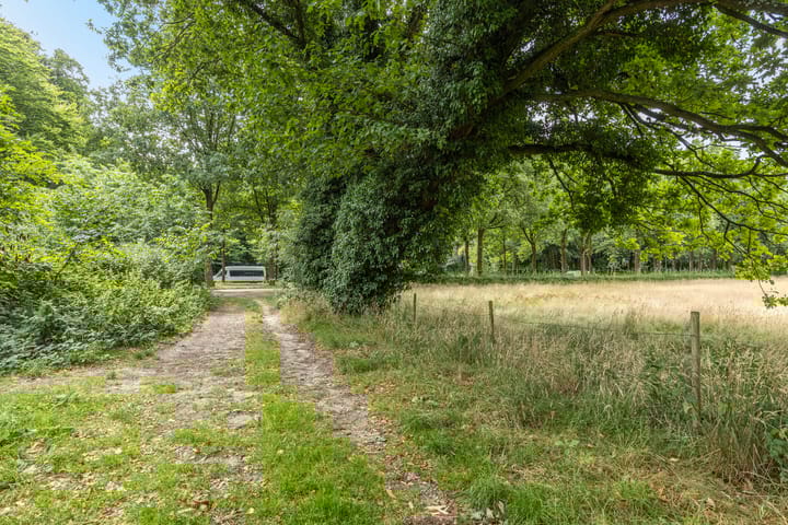 Foto 57 van Schaterland 7