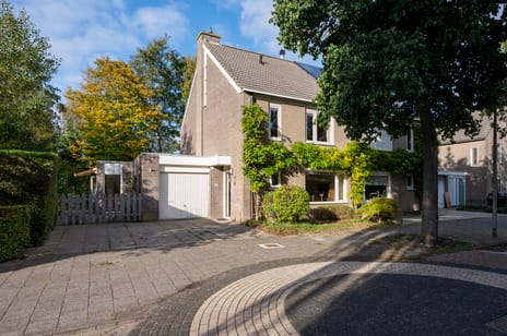 undefined main image