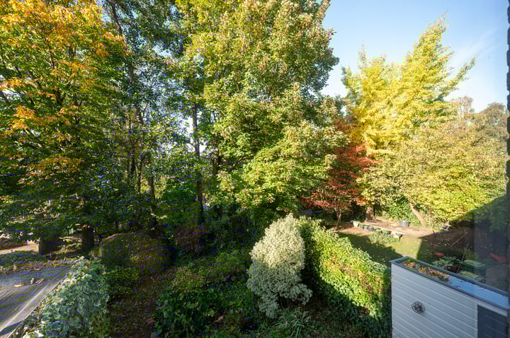 Photo 23 of Bergmolen 28