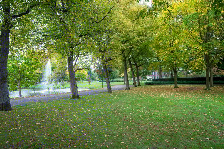 Photo 35 of Bergmolen 28