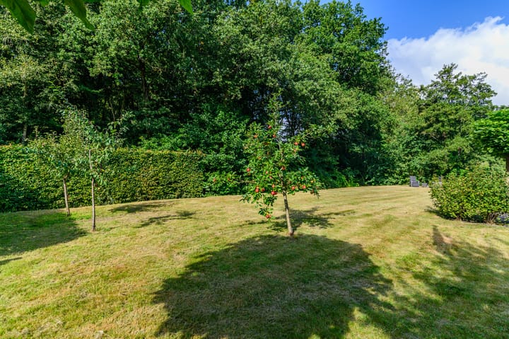 Photo 25 of Lange Singel 24