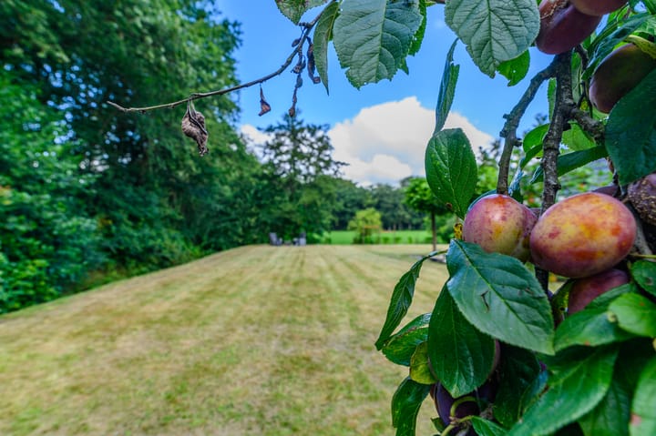 Photo 26 of Lange Singel 24