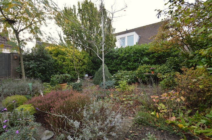 Foto 24 van Rupelstraat 10