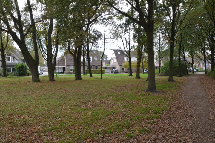 Foto 26 van Rupelstraat 10