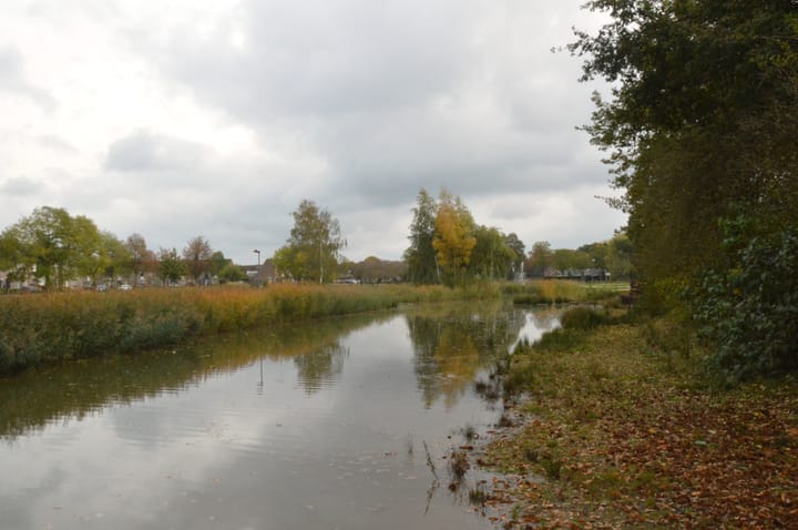 Foto 29 van Rupelstraat 10