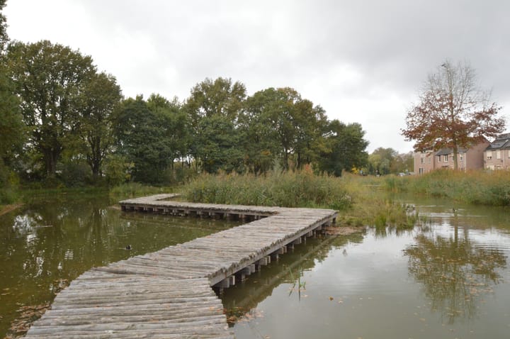 Foto 30 van Rupelstraat 10