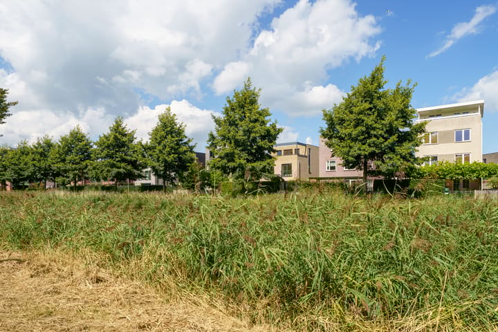 Photo 57 of Vasco da Gamapad 12