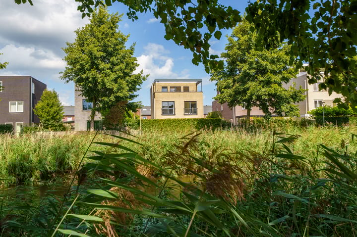 Photo 58 of Vasco da Gamapad 12