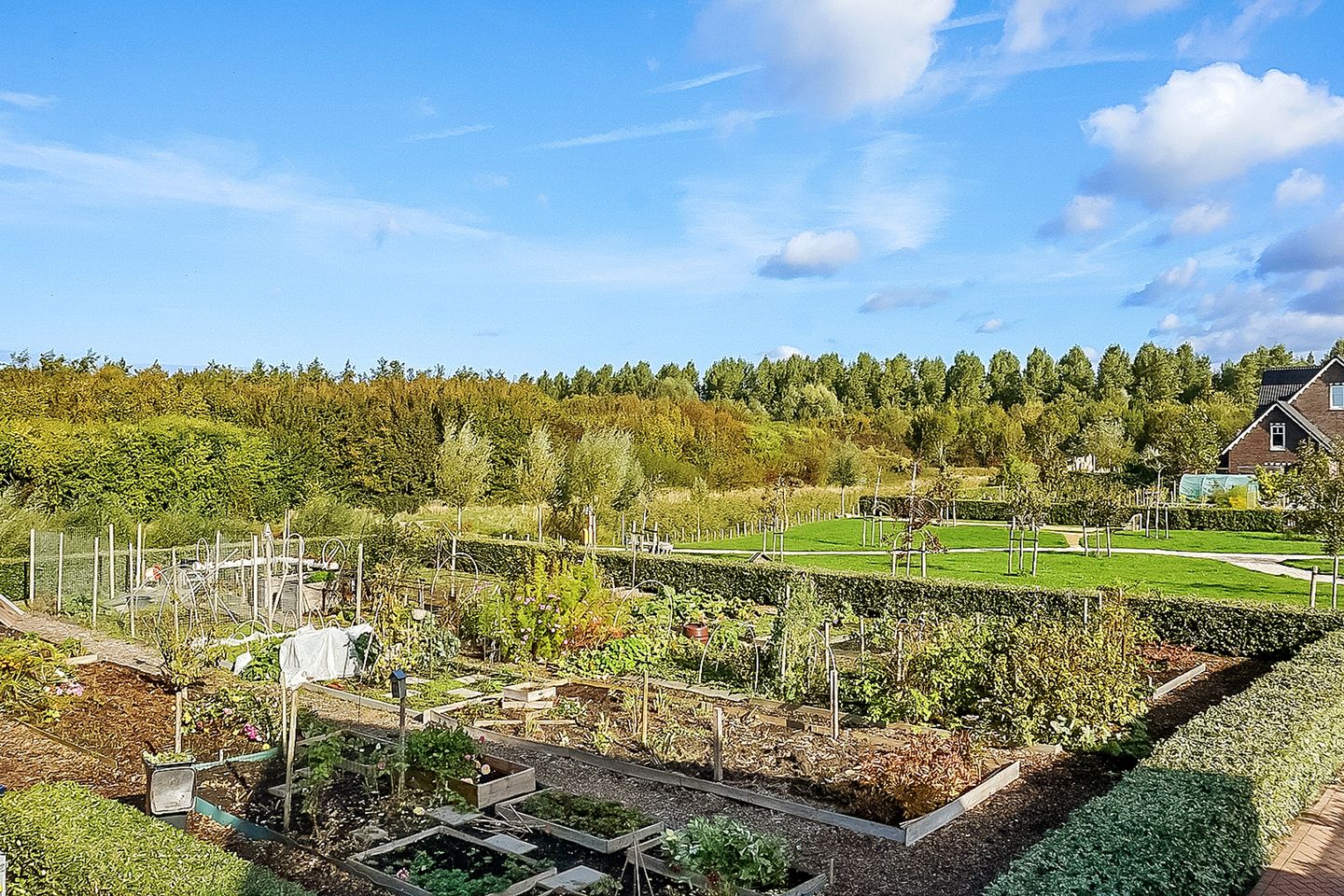 Foto 55 van Hoofdweg 1349