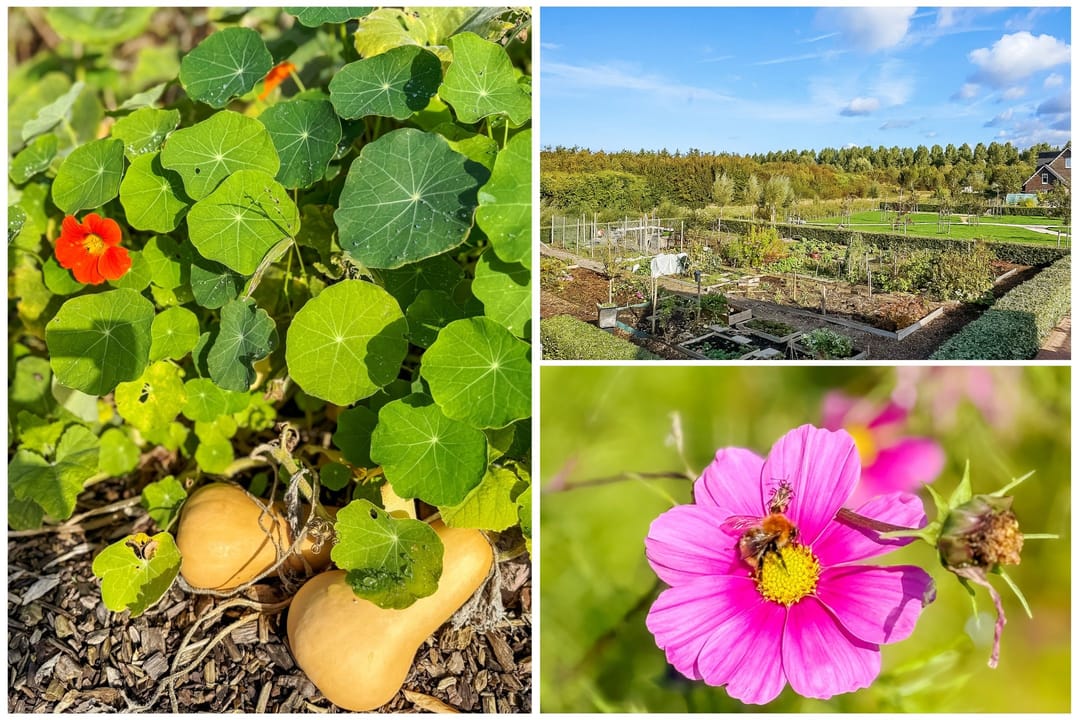 Foto 56 van Hoofdweg 1349