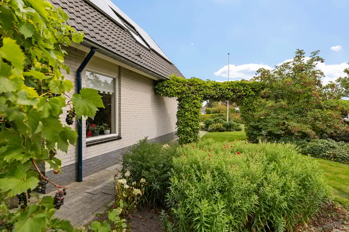 Foto 38 van De Tsjotter 14