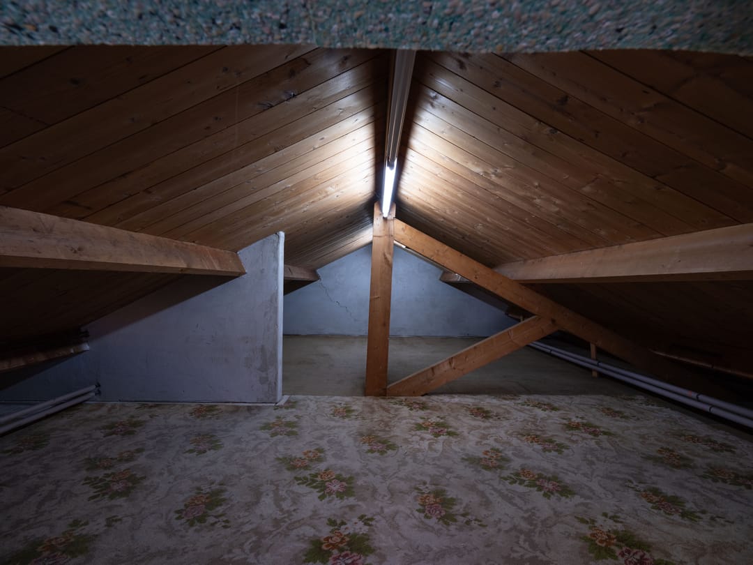 Foto 23 van Bysitterskamp 29