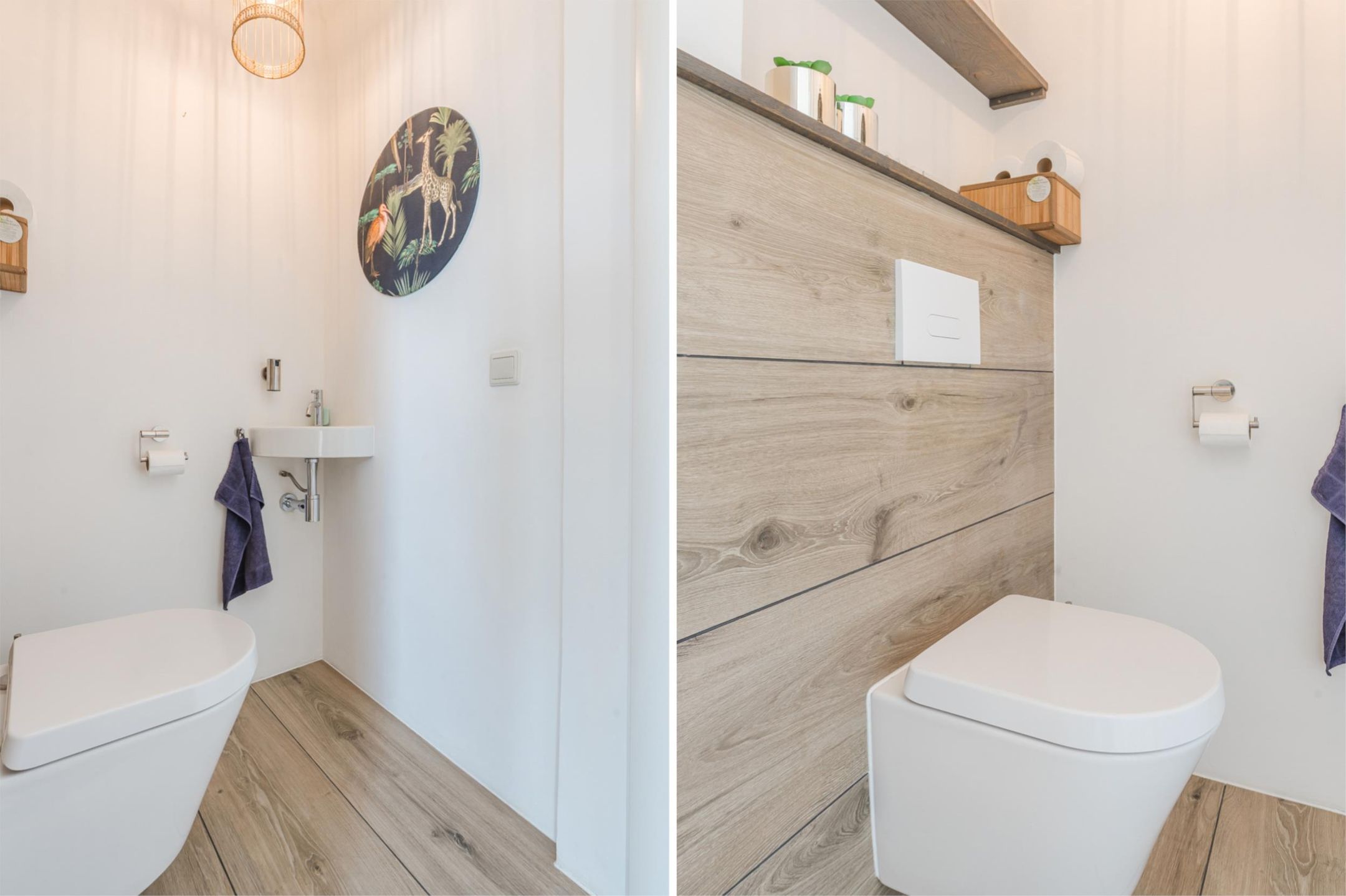 Foto 12 van Atalanta 45