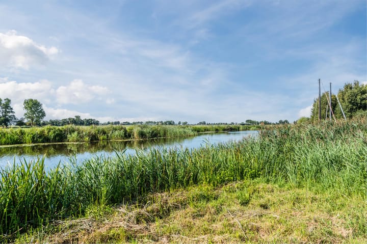 Foto 59 van Atalanta 45