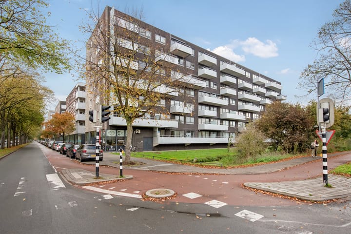 Foto 4 van Melis Stokelaan 2024