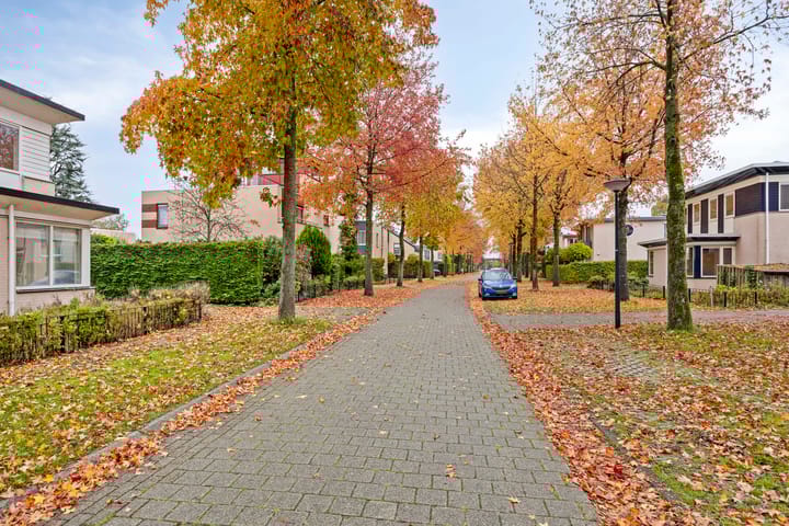 Photo 2 of Vermiljoenstraat 5