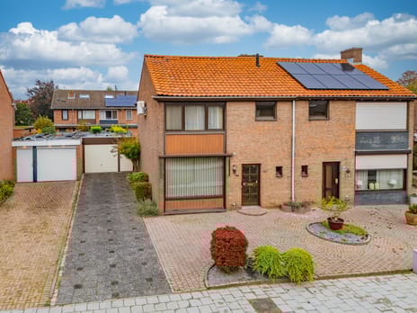 undefined main image