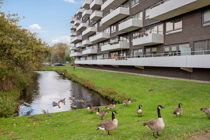 Foto 30 van Melis Stokelaan 2024