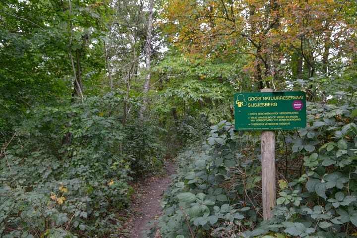 Foto 34 van IJzeren Veldweg 1