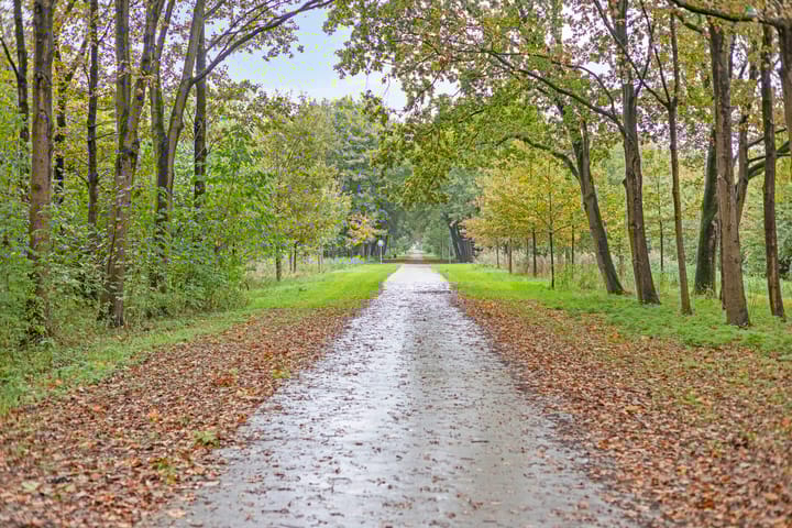 Photo 36 of Vermiljoenstraat 5