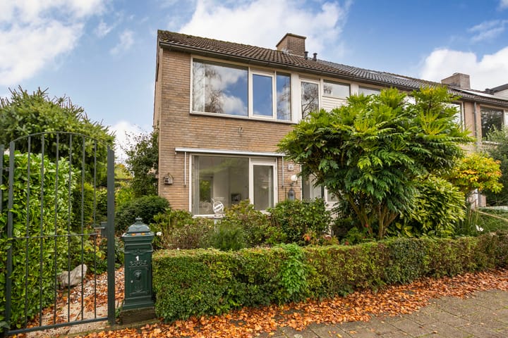 Foto 2 van Guldenroede 1