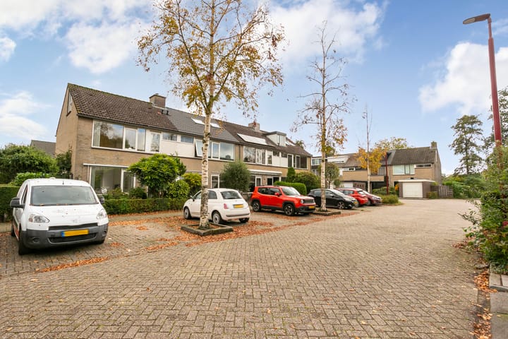 Foto 3 van Guldenroede 1