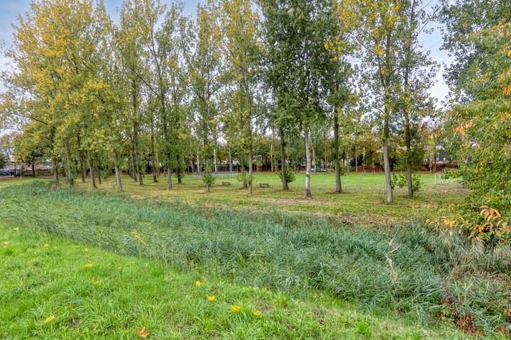 Foto 38 van Borselestraat 25