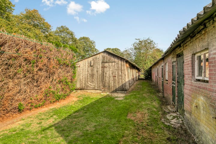 Foto 8 van Menzel 48