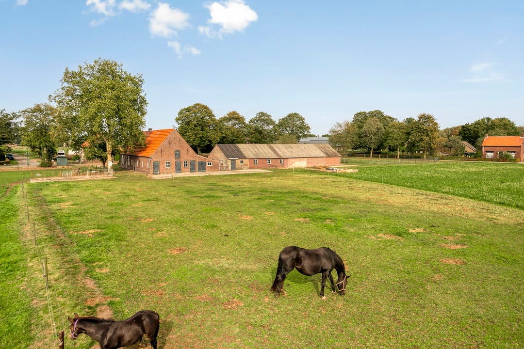 Foto 11 van Menzel 48