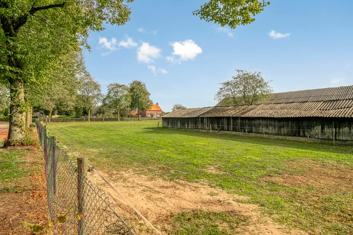 Foto 9 van Menzel 48