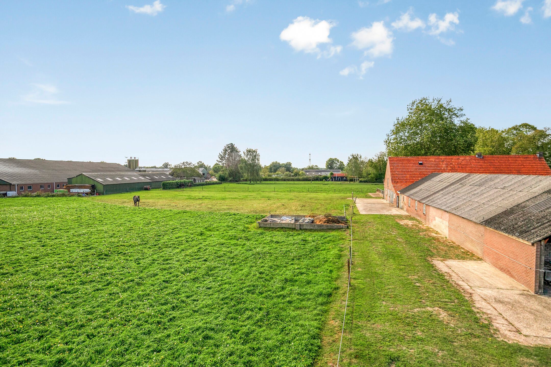 Foto 12 van Menzel 48