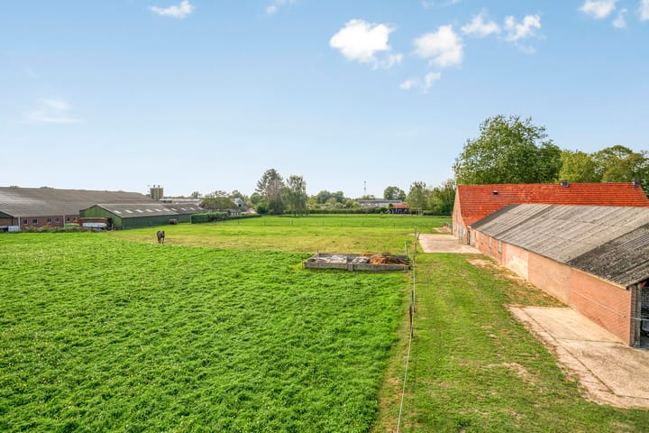 Foto 12 van Menzel 48