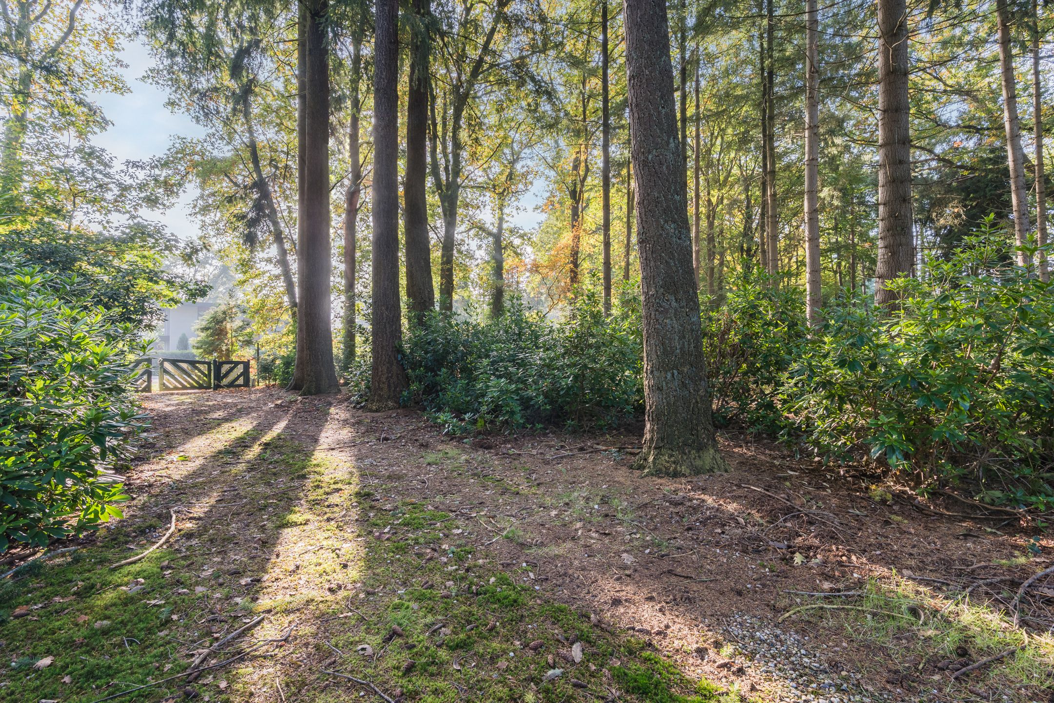 Foto 3 van Groteweg 57