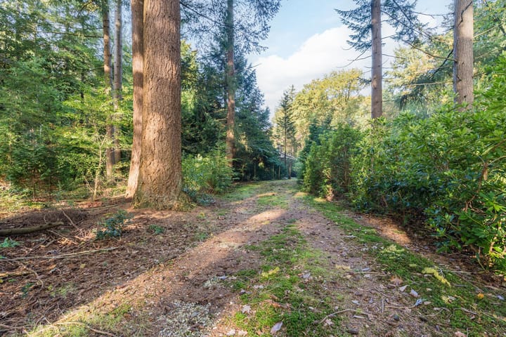 Foto 4 van Groteweg 57