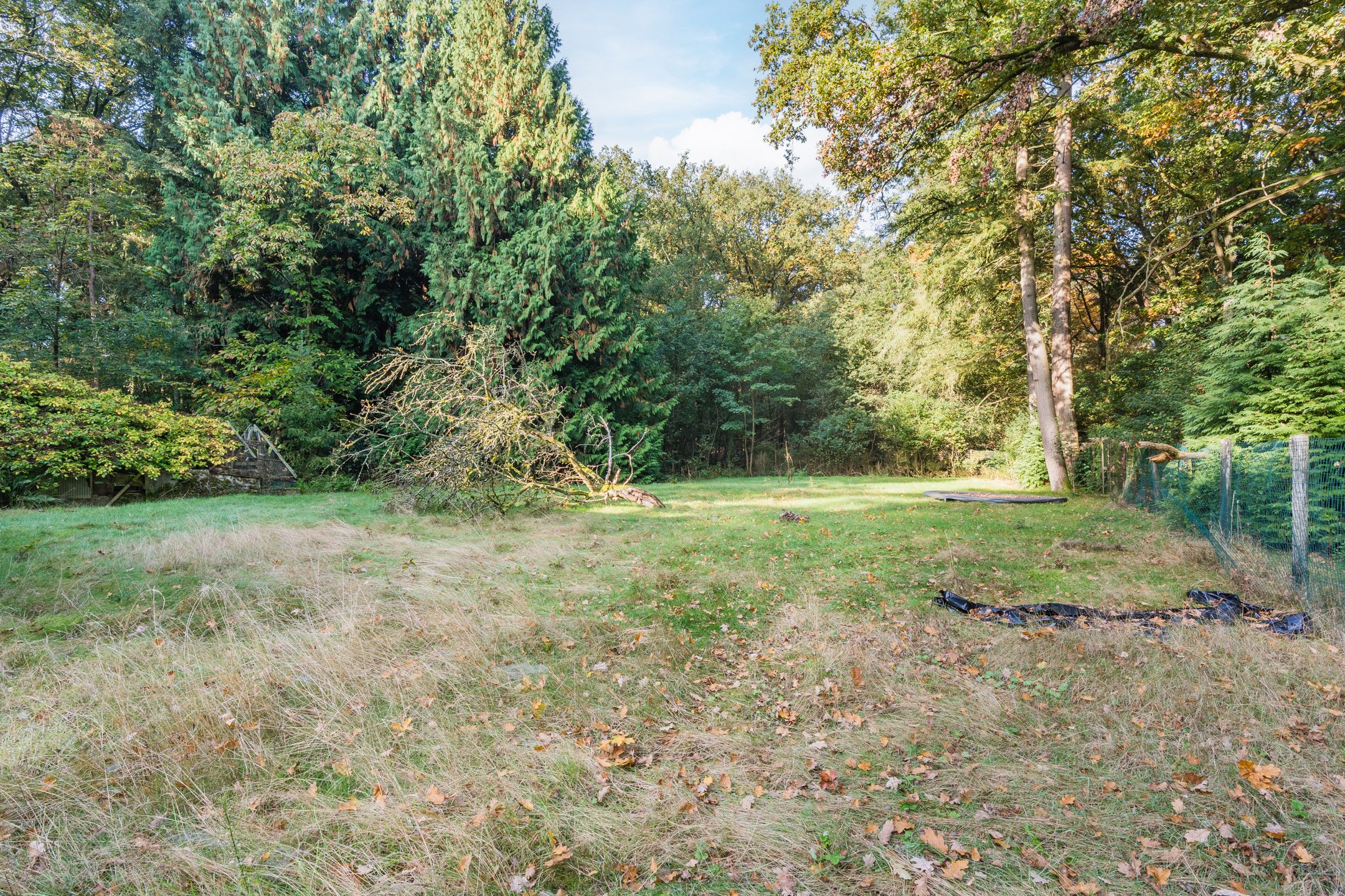 Foto 12 van Groteweg 57