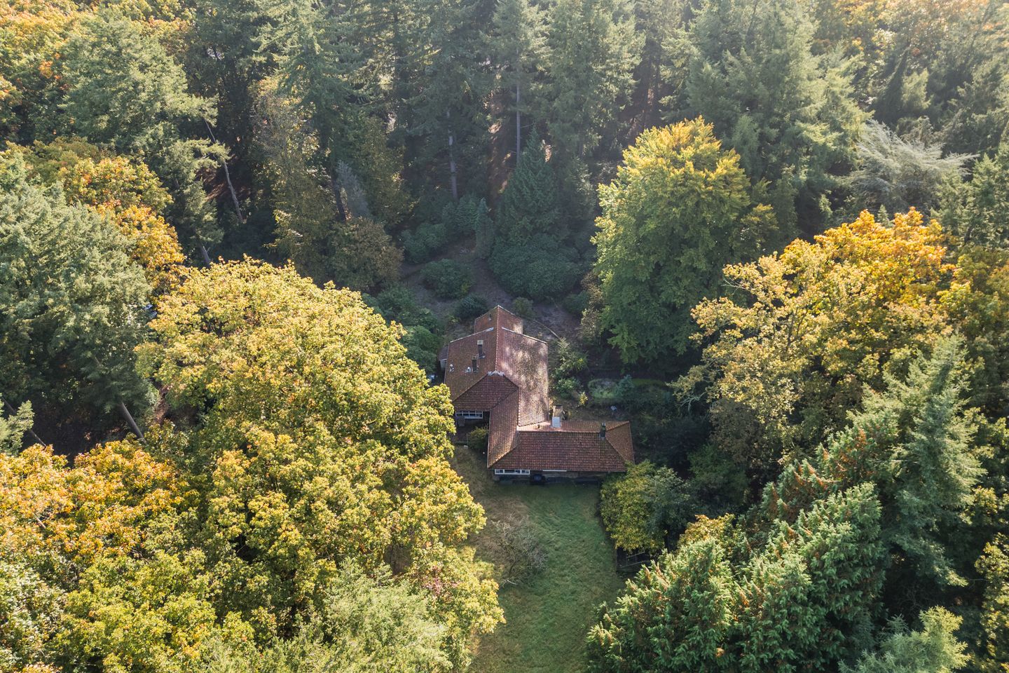 Foto 20 van Groteweg 57